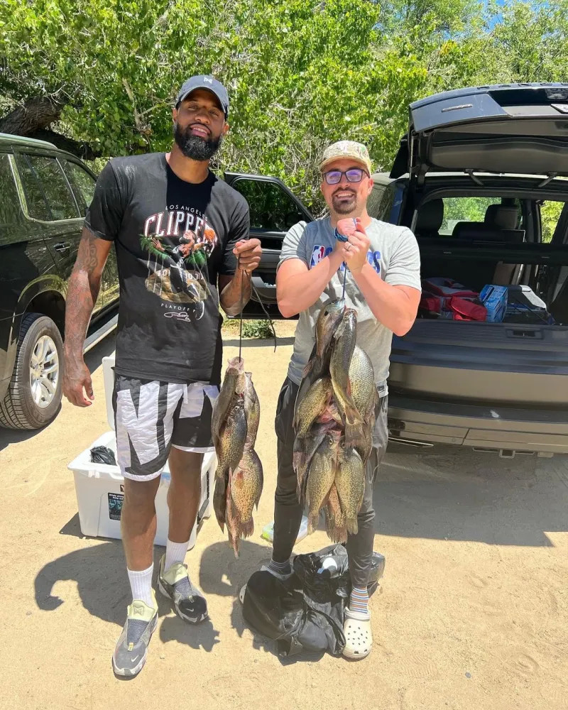 奖励失衡 奖励失衡